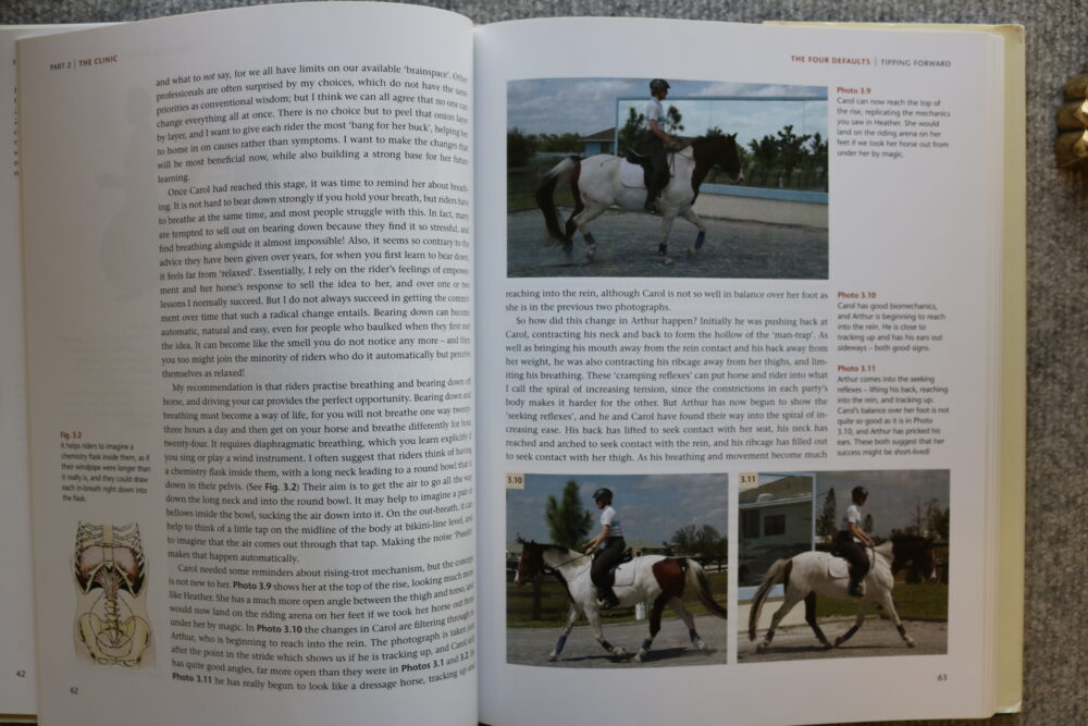 Mary Wanless, Ride With Your Mind Clinic, Rider Biomechanics - Basic To Brilliance - Image 9