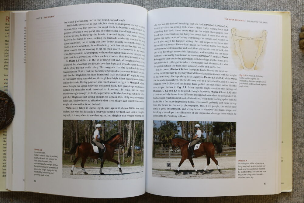 Mary Wanless, Ride With Your Mind Clinic, Rider Biomechanics - Basic To Brilliance - Image 11