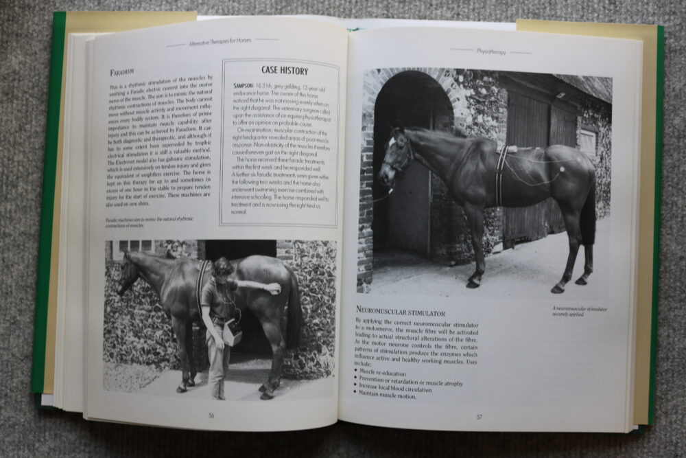 Alternative Therapies For Horses, a new approach to health and fitness, Vanessa Britton - Image 10