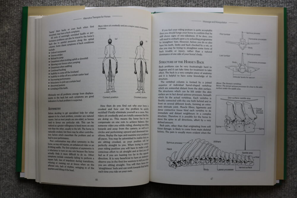 Alternative Therapies For Horses, a new approach to health and fitness, Vanessa Britton - Image 11