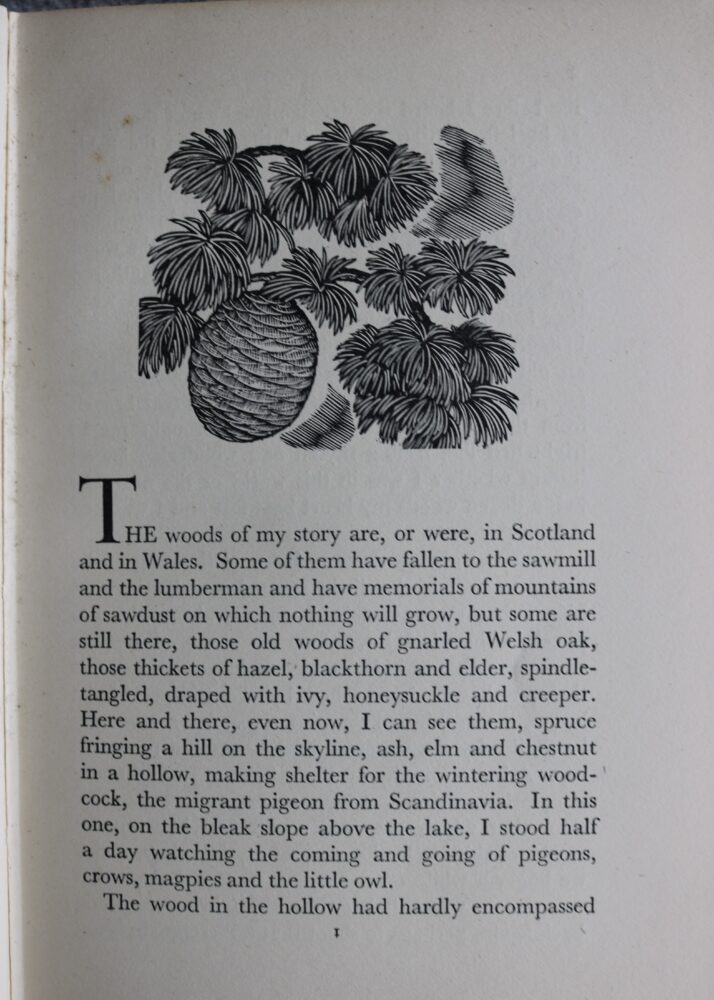 Ian Niall, Fresh Woods, illustrated by Barbara Greg - Horse Books