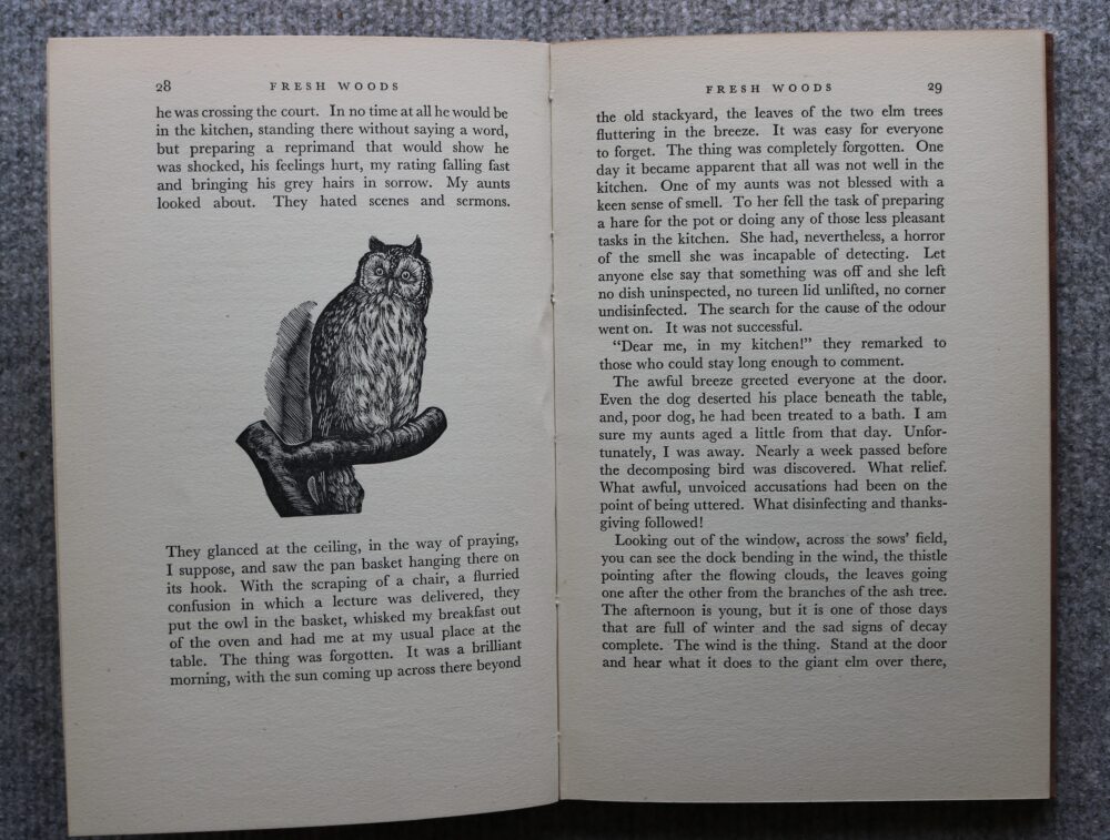 Ian Niall, Fresh Woods, illustrated by Barbara Greg - Horse Books