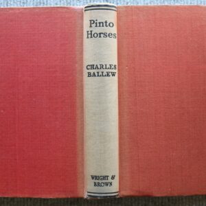 Pinto Horse, Charles Bellew