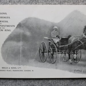 Mills Carriage Catalogue, Famous Hackney Horses