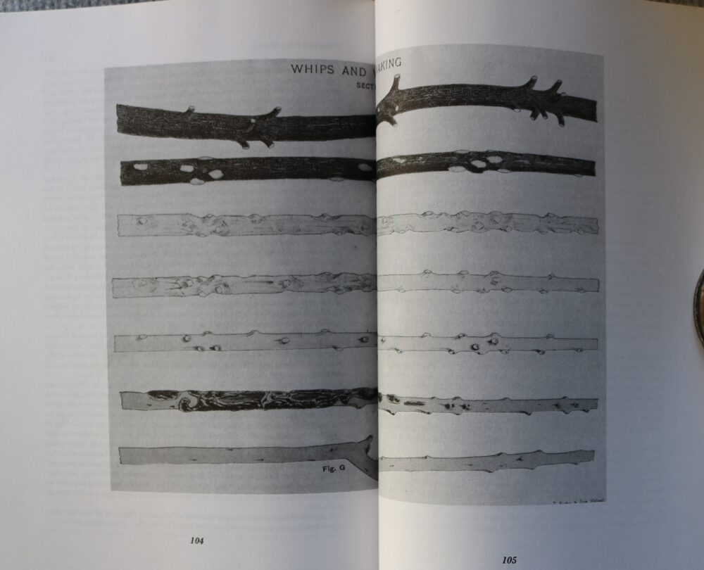 Whips and Whipmaking, with practical instruction to Braiding. David W Morgan - Image 17
