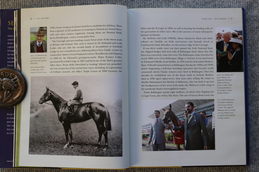 Sea The Stars, The Worlds Best Racehorse, Anne Holland - Image 8