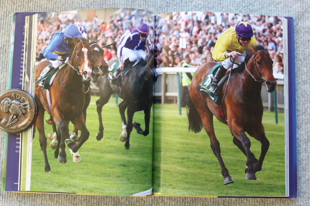 Sea The Stars, The Worlds Best Racehorse, Anne Holland - Image 11