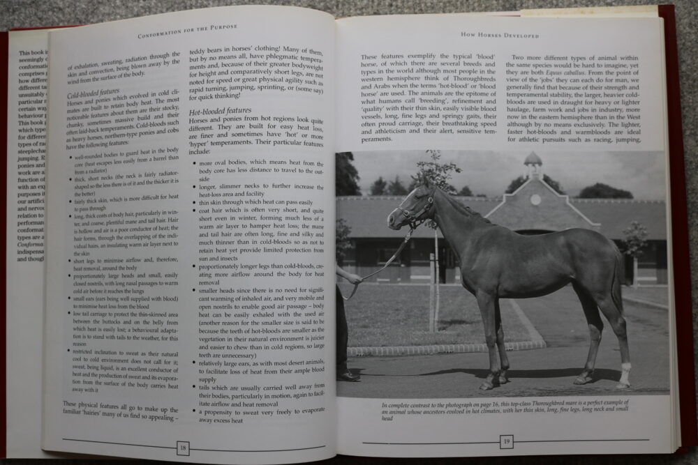 Conformation For The Purpose, The make, shape and performance of the horse, Susan McBane - Image 5
