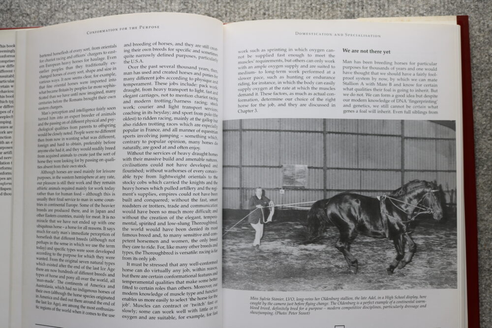Conformation For The Purpose, The make, shape and performance of the horse, Susan McBane - Image 6