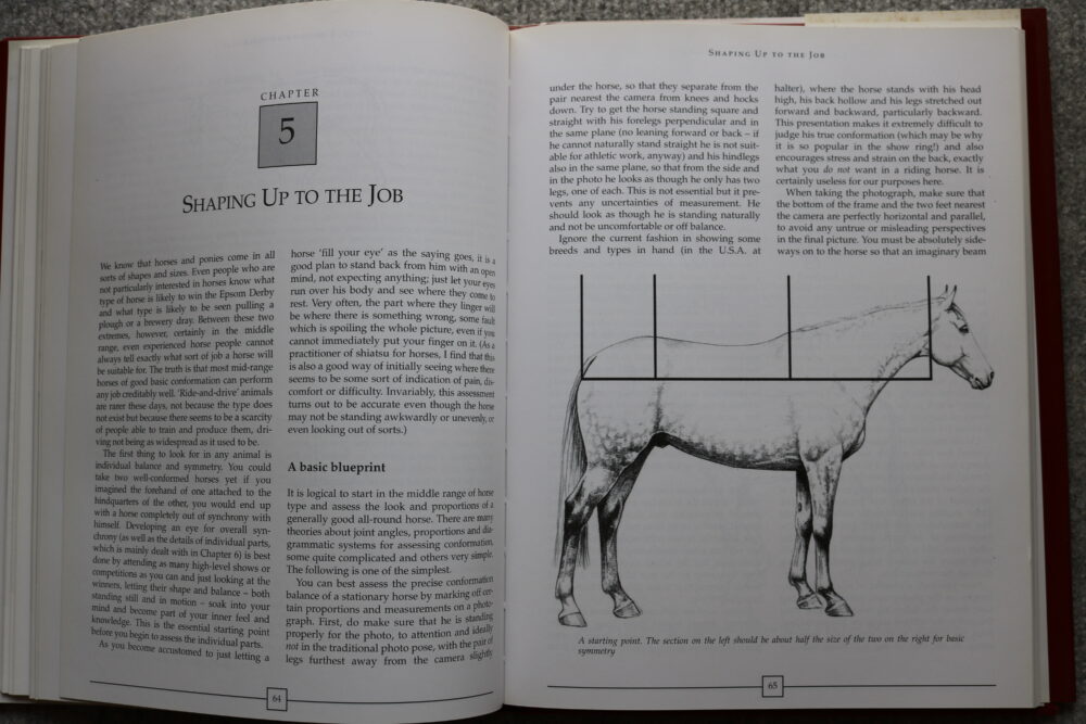 Conformation For The Purpose, The make, shape and performance of the horse, Susan McBane - Image 8