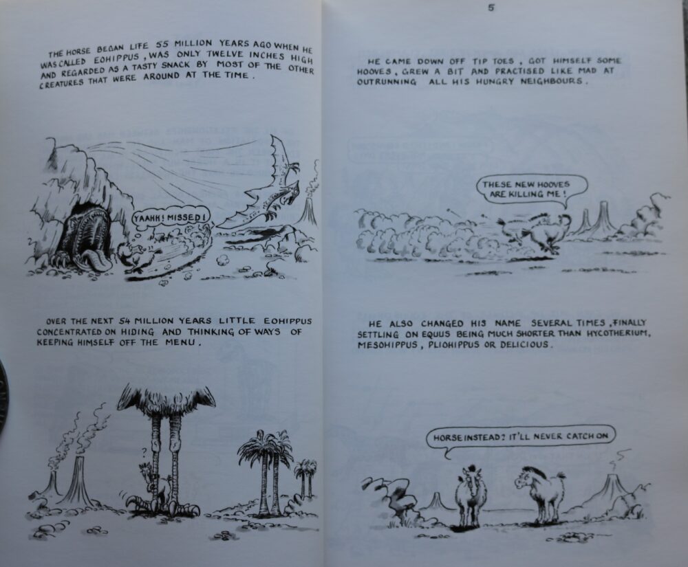 Evolution, Civilisation and the Horse, hilarious history from the horses point of view, Chris Moller - Image 4