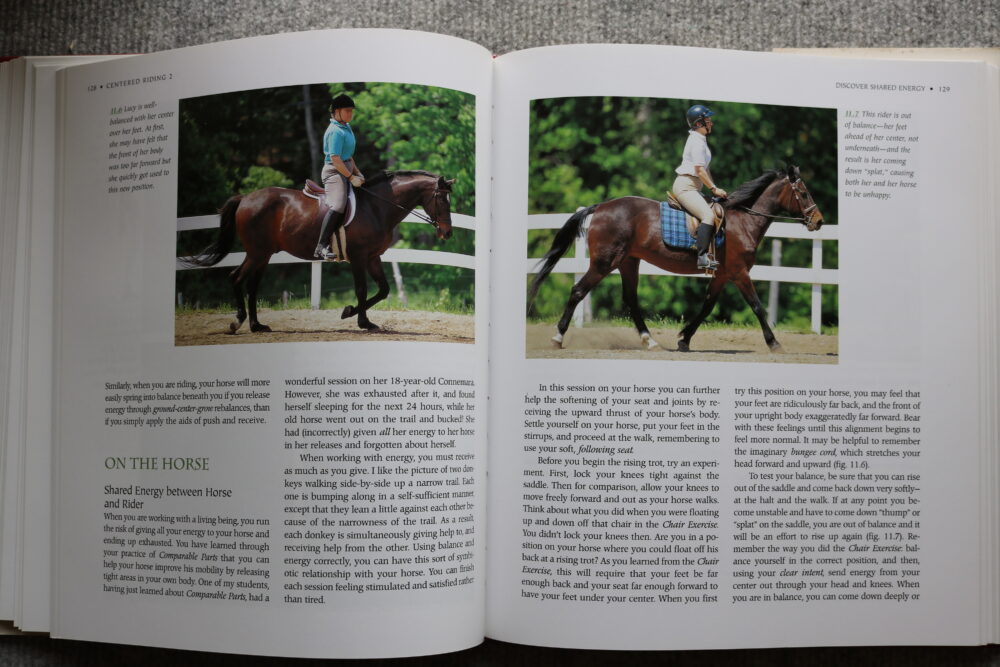 Centered Riding 2, Further exploration,Sally Swift - Image 14