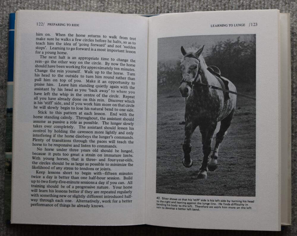 Preparing To Ride, A new approach to riding technique, Yvonne Saar - Image 8
