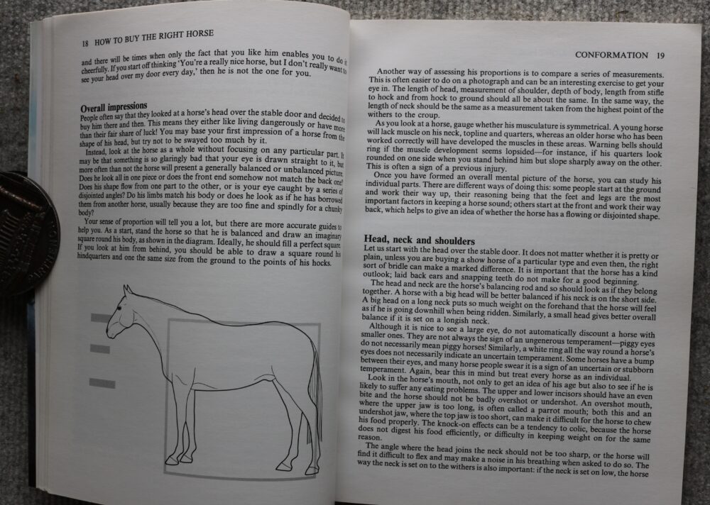 How To Buy The Right Horse, Carolyn Henderson and Lynn Russell - Image 9