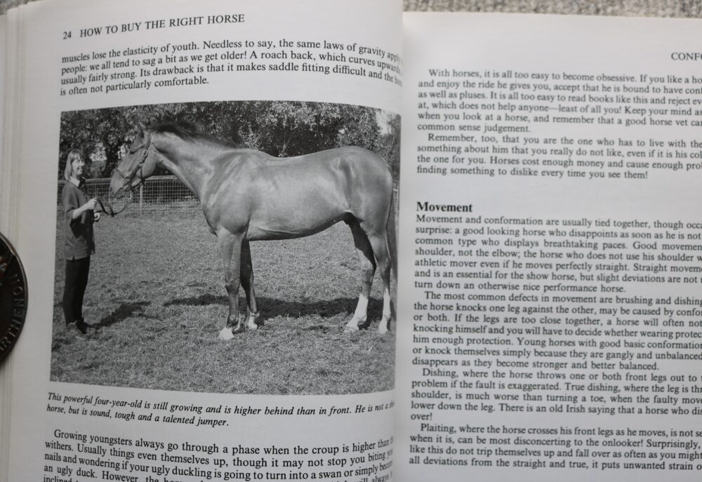 How To Buy The Right Horse, Carolyn Henderson and Lynn Russell - Image 10