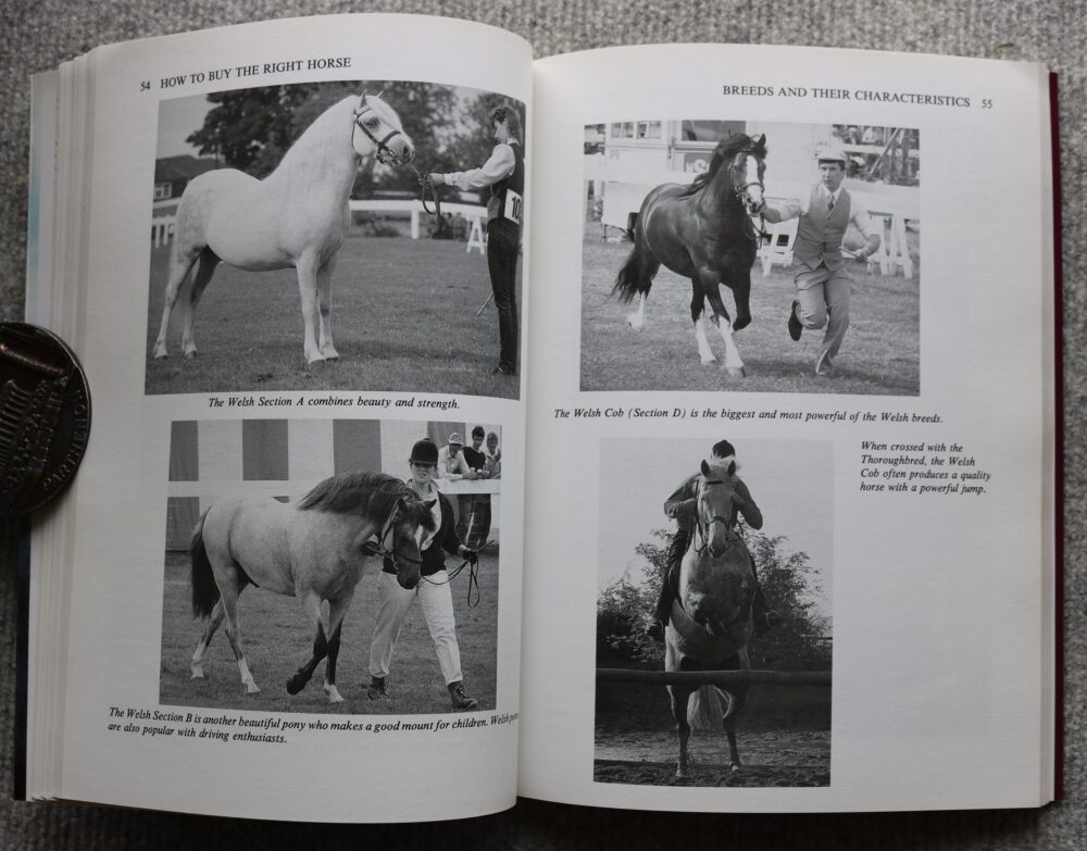 How To Buy The Right Horse, Carolyn Henderson and Lynn Russell - Image 11
