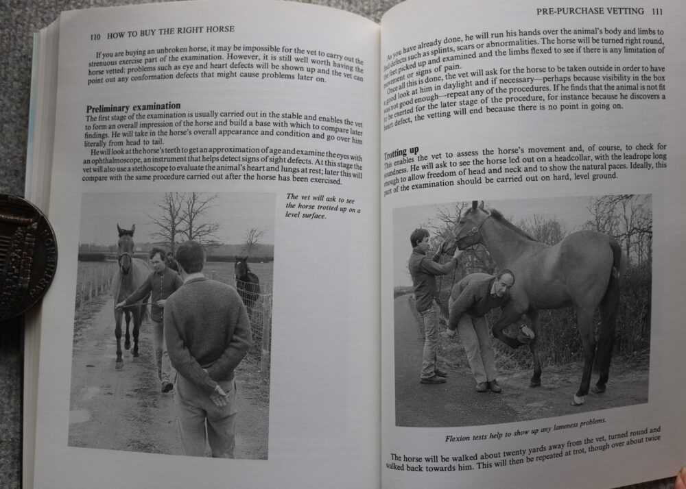 How To Buy The Right Horse, Carolyn Henderson and Lynn Russell - Image 13