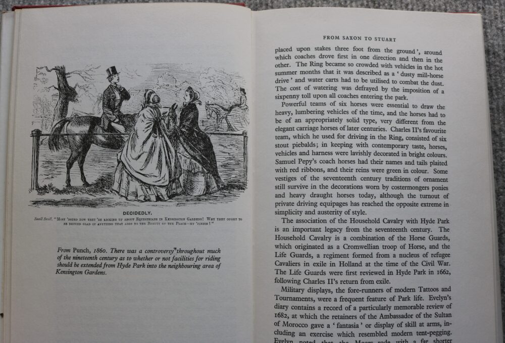 Hyde Park for Horsemanship, Joyce Bellamy - Image 10