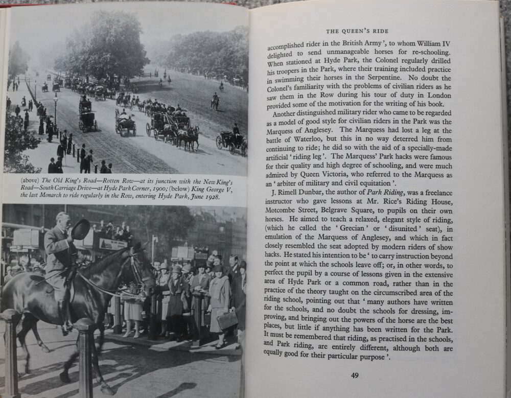 Hyde Park for Horsemanship, Joyce Bellamy - Image 13
