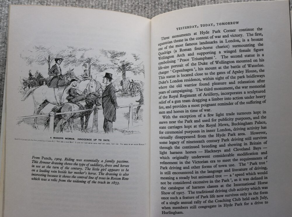 Hyde Park for Horsemanship, Joyce Bellamy - Image 16
