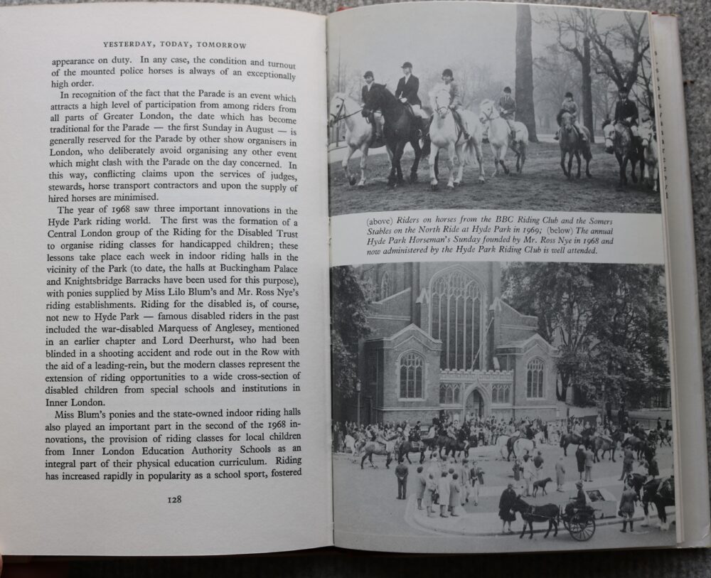 Hyde Park for Horsemanship, Joyce Bellamy - Image 18
