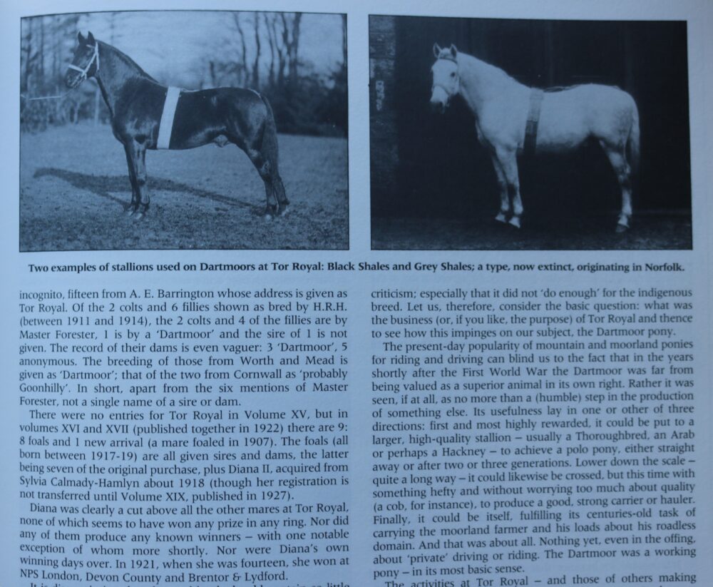 The Dartmoor Pony, A history of the breed, Joseph Palmer - Image 7