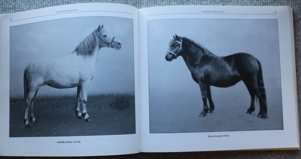 The Dartmoor Pony, A history of the breed, Joseph Palmer - Image 9