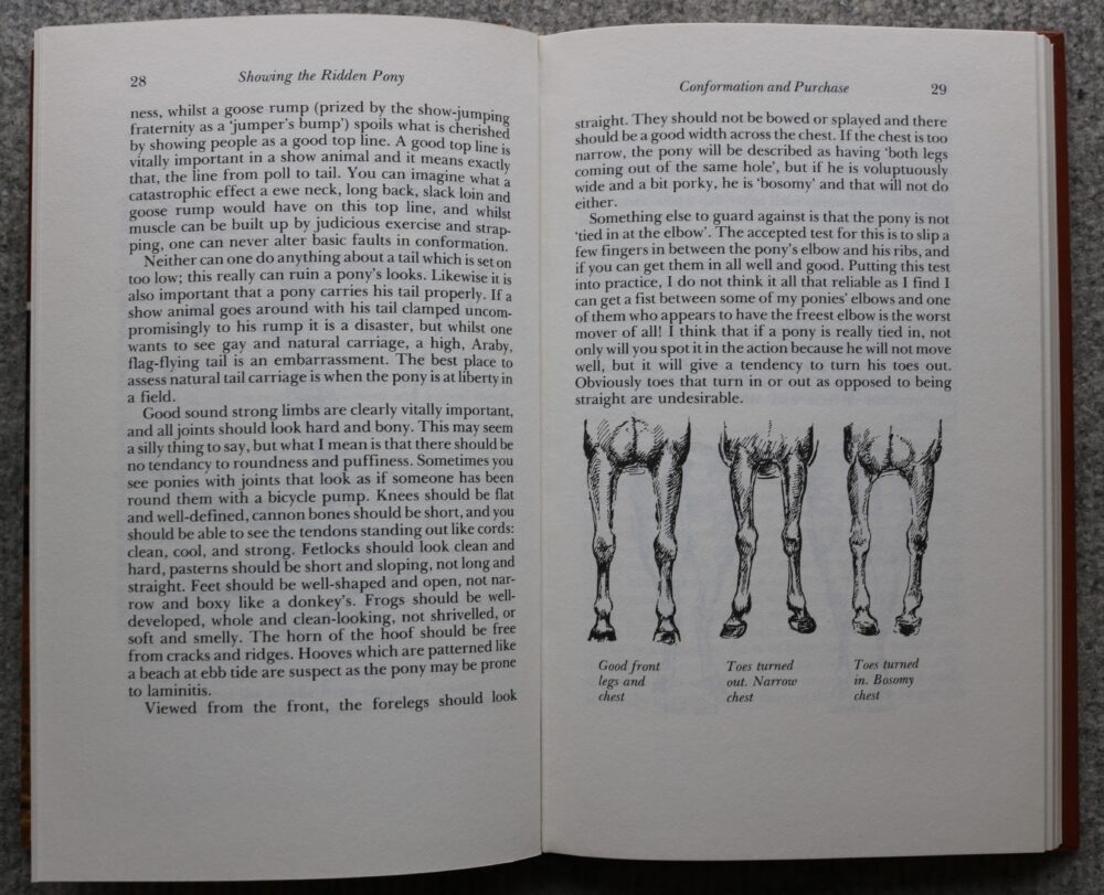Showing The Ridden Pony, A guide, Caroline Akrill - Image 6