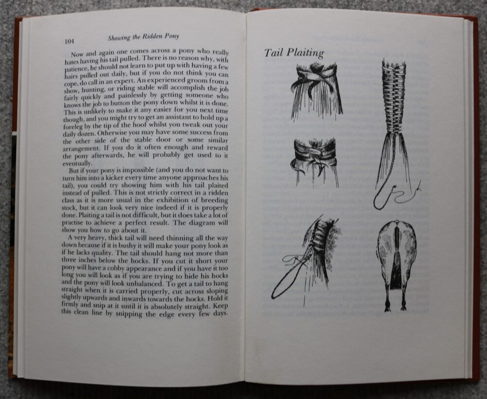 Showing The Ridden Pony, A guide, Caroline Akrill - Image 13