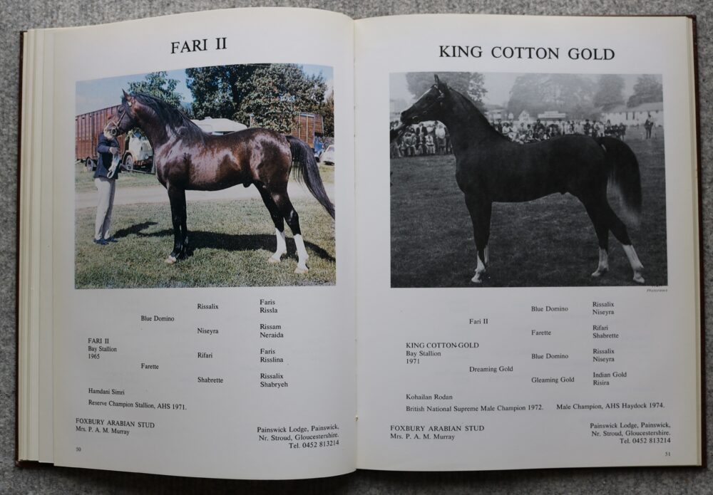 An Illustrated Guide to the Arabian Horse in Great Britain, Pat Maxwell - Image 11